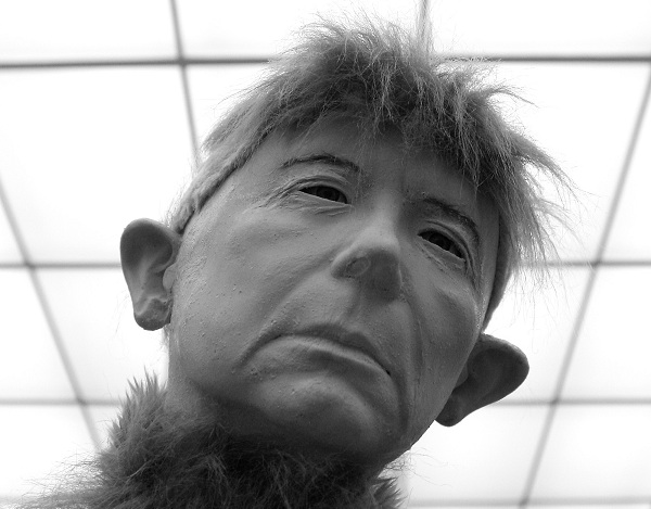 &Uuml;levaaten&auml;itus &ndash; kellele ja milleks?