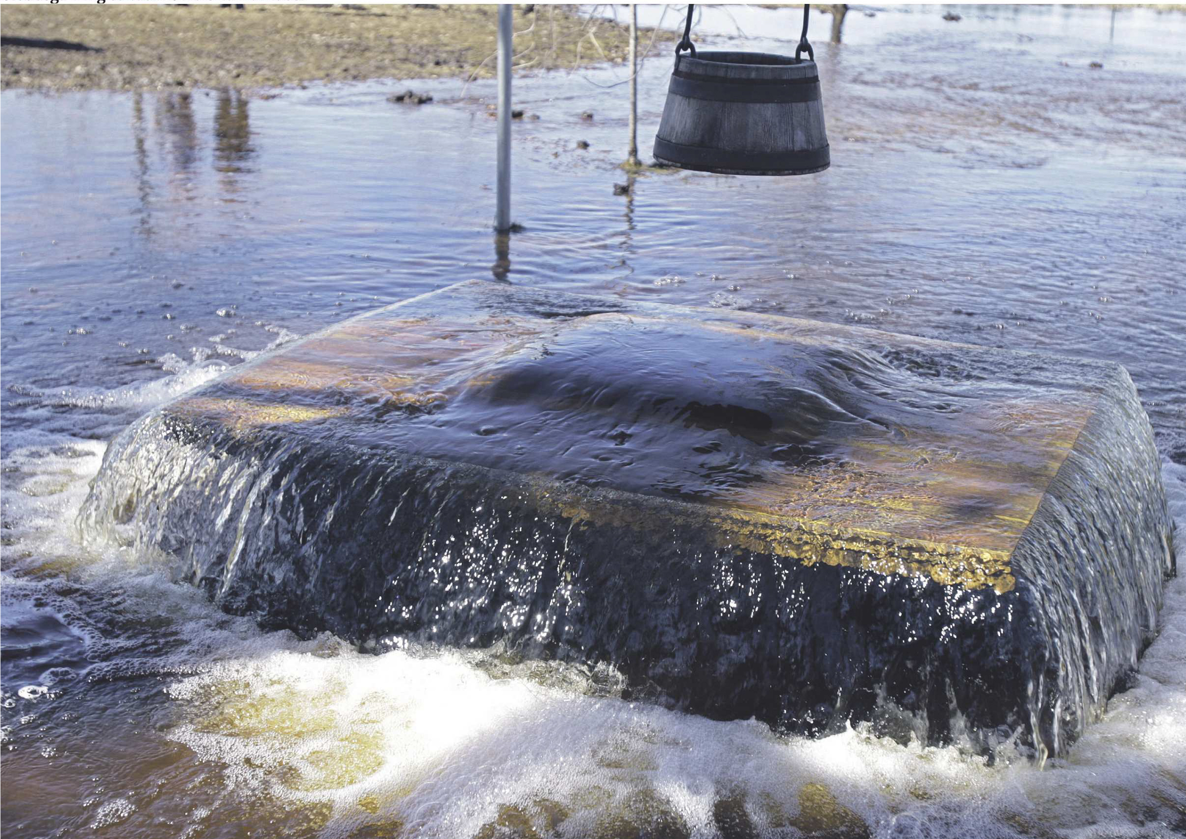 Tiina Kõrtsini / Õhtuleht