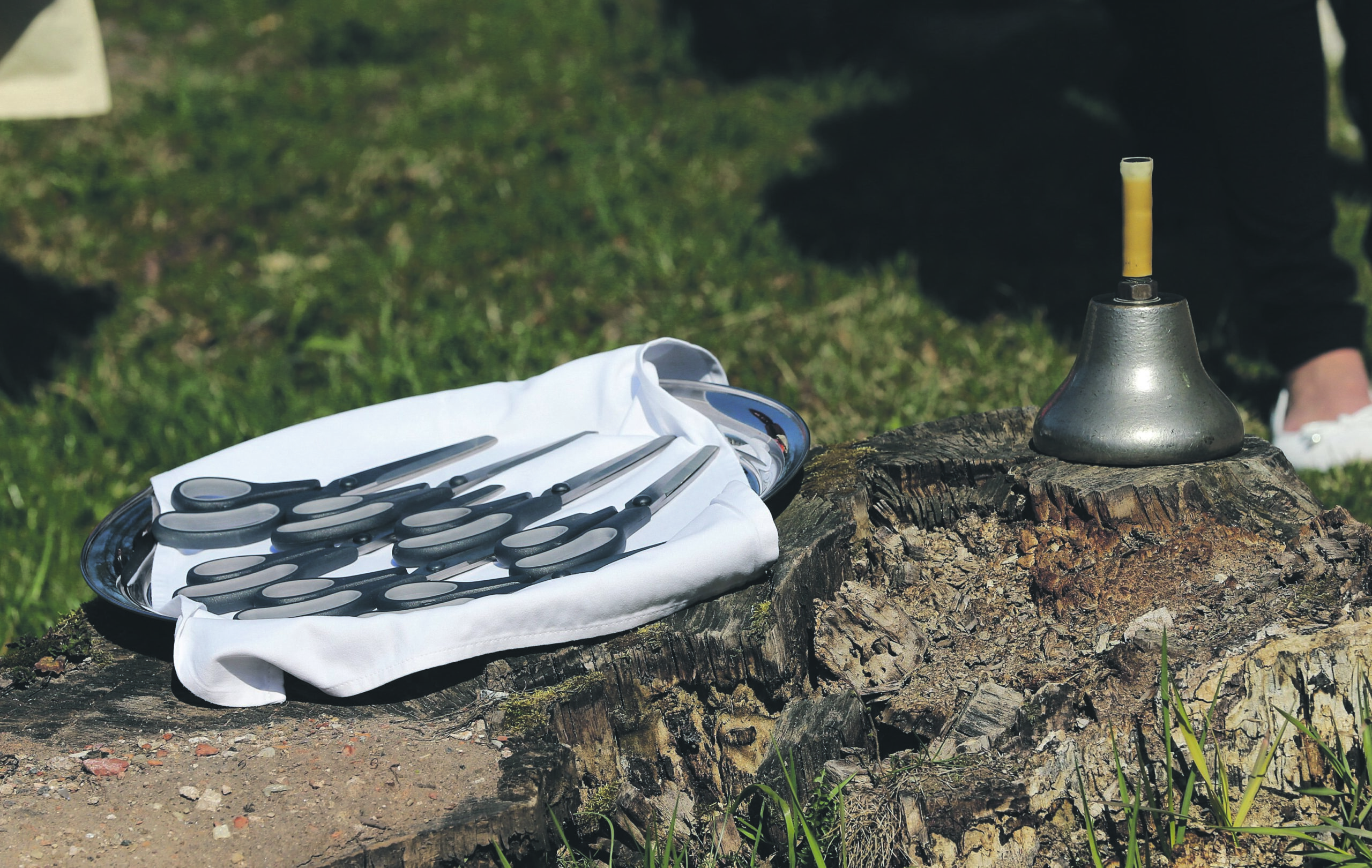 Mitte ainult Tallinna ülikoolist