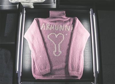 Jalutuskäik galeriides: Jaanus Samma kampsuniglamuur