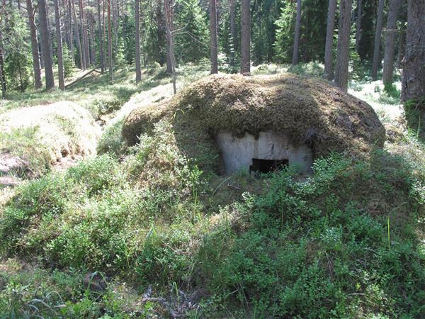 Rutja punker / kaevik  Lääne-Virumaal.  