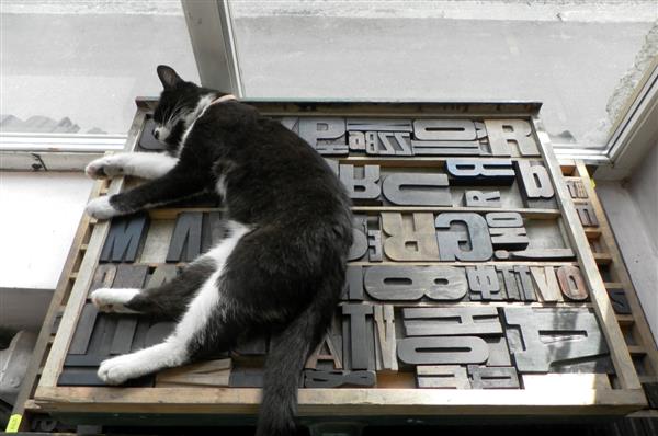 Raminagrobis m&auml;letab II