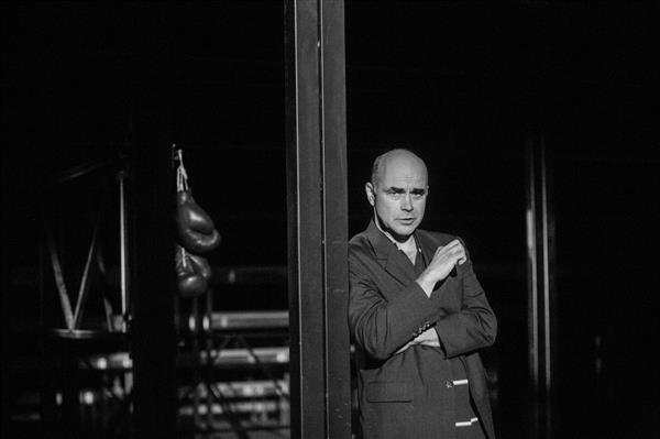 Vana vein k&auml;&auml;rib vaikselt vaatides