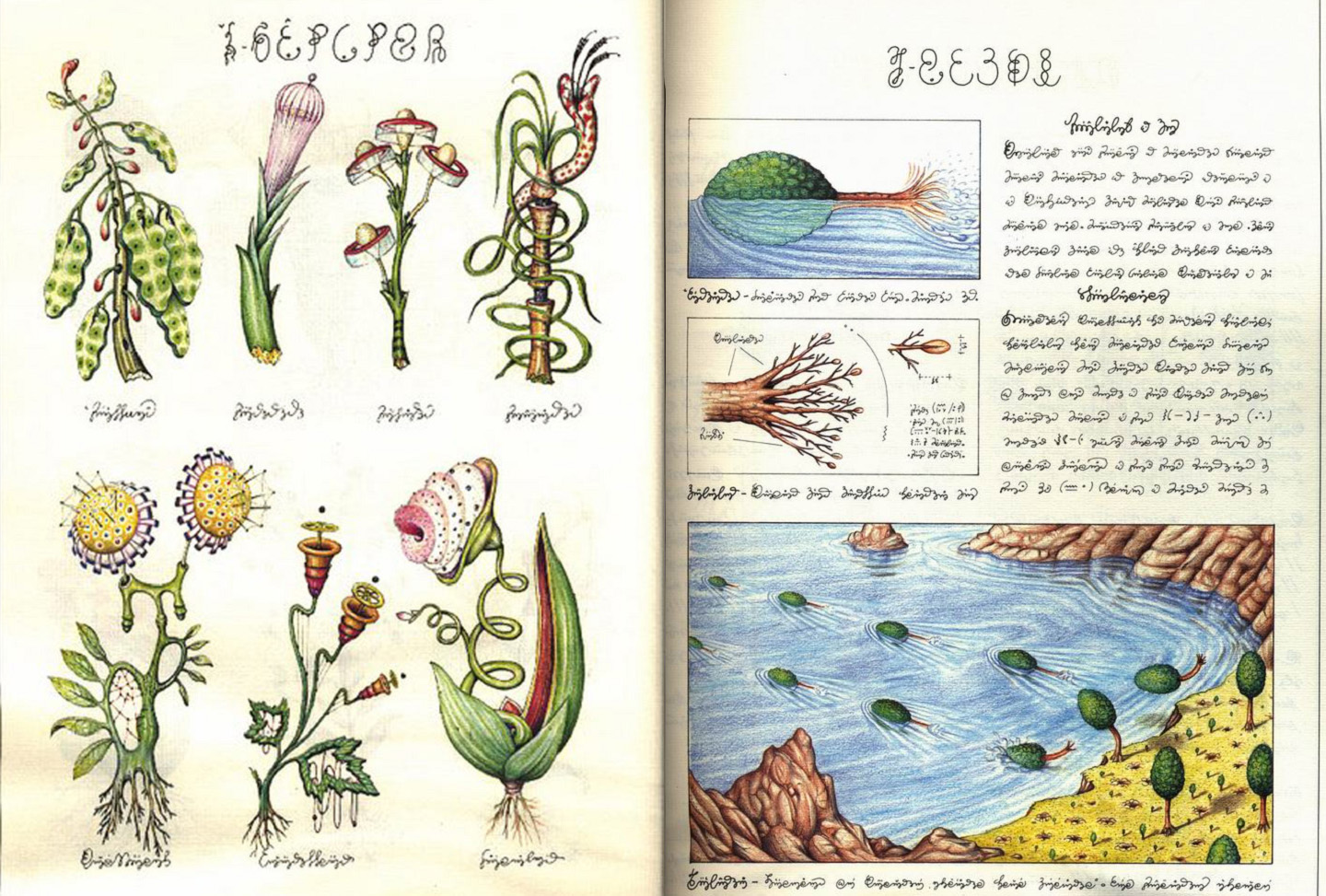 „Codex seraphinianus“ on Itaalia kunstniku Luigi Serafini poolt kolmekümne kuuga loodud illustreeritud entsüklopeedia imaginaarse maailma kohta, ilmus 1981. aastal 5000-eksemplarises tiraažis.