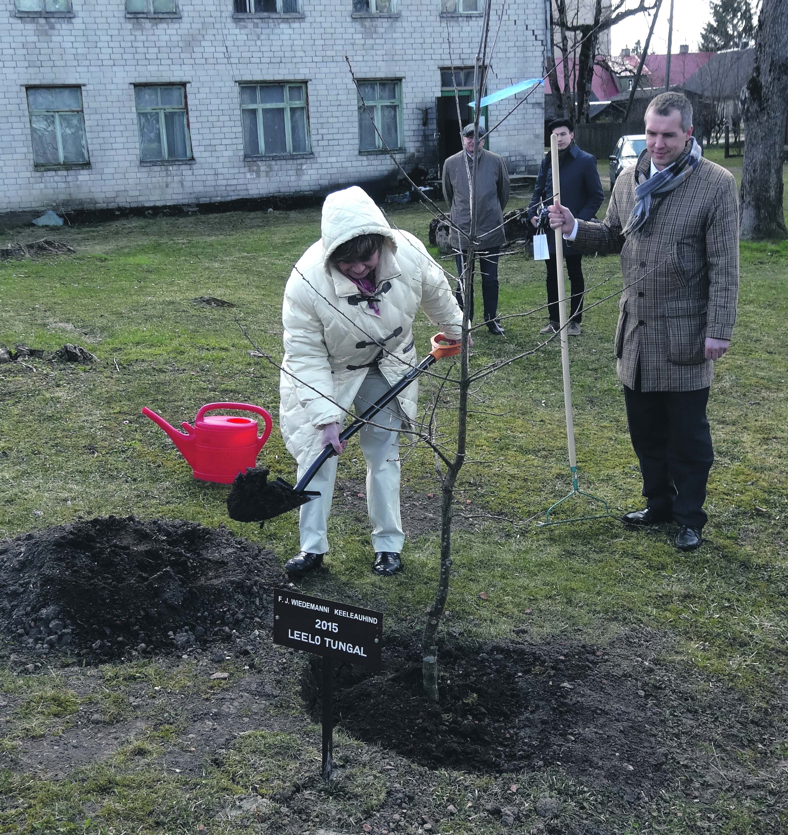 Eesti olulisima, Wiedemanni keeleauhinna omanik selgub igal aastal küll nagu teised riigipreemiate laureaadid vabariigi aastapäevaks, kuid igal keeleauhinna saanul seisab ees tamme istutamine Väike-Maarja keeletammikusse ja ülesastumine Väike-Maarja rahvamajas keelepäeval. Tänavuse pärjatu kandidatuuri olid esitanud pealegi keeleauhinna mõtte algataja Irma Sild, Väike-Maarja vallavalitsus, Väike-Maarja gümnaasium ja Väike-Maarja valla raamatukogu. 2015. aasta laureaati Leelo Tungalt tunnustati ennekõike oskusliku sõnaseadmise eest rohketes algupärastes ja tõlgitud luule- ja proosateostes, kaalukausi kallutasid tema suunas ka õpetajatöö ning eesti keele õpperaamatud, Hea Lapse toimetamine, laulupeoidentiteedi kujundamine ja „seltsimees lapse“ meenutused.  Fotol Leelo Tungal 23. IV 2015 koos oma tammega ja istutusabilise rollis Väike-Maarja vallavanema Indrek Keskülaga. Foto: Ilve Tobreluts