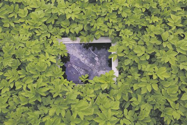 Vahel tunneme kõik iha lihtsa elu järele, tähendagu see siis kas päeva ilma mobiiltelefoni ja  Facebookita või loomingulist elu looduskaunis kohas.  