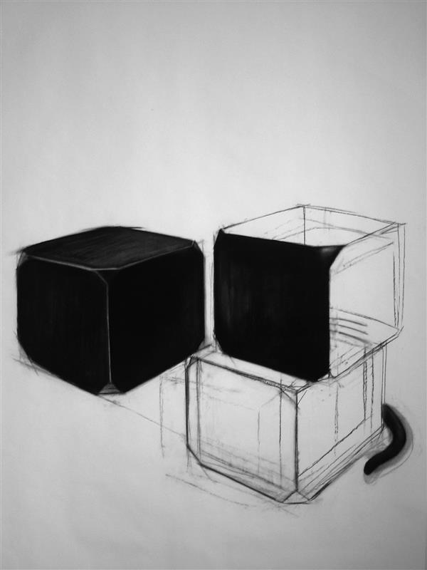 Sirja-Liisa Eelma. Malevitši must kas(s)t. 2006, süsi. 