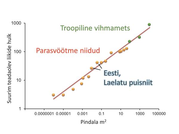 aa_sirp_15-24_0037__art_r1