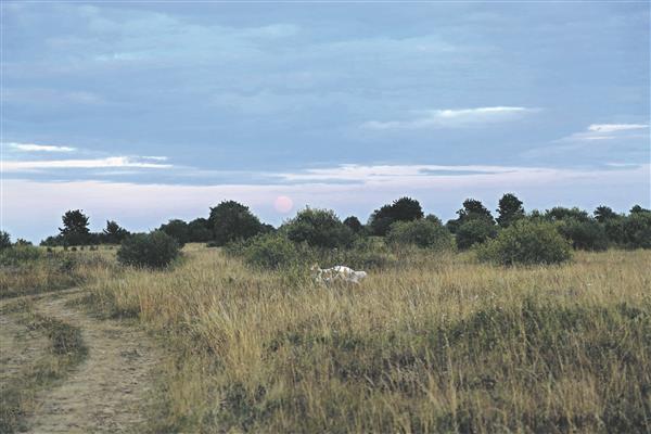Ei mullast Sul olegi enam suurt lugu, kui kõndima õpid parkettide pääl. Erinevalt parketist peituvad Ülgase paepealse all kunagise fosforiidikaevanduse koopad ja käigud. 