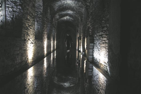 Flan&ouml;&ouml;rina gootika alateadvuses