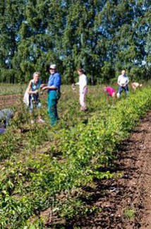Luunjas, Raadil ja Vahil ei tehta enam ammu põllumajandusteaduslikke katseid, sest Tartu linn ulatub juba Kõrveküla taha. Põldkatsed siiratakse Rõhule. See on möödapääsmatu, ehkki kulub kümmekond aastat, enne kui uues kohas tekivad esimesed süstemaatilised aegread. Ka  Pollis (puuviljandus ja marjakasvatus) oli problemaatiline istutusala suurendamine juhuks, kui istikutealune muld väsib ning tekib ilmne vajadus uue maa järele. Erastamine ja tagastamine seadsid 1990. aastate keskel piirid ette, sest keegi ei hakka ju vajalikku maad teaduse kasuks sundvõõrandama. Fotol Eesti maaülikooli põllumajandus- ja keskkonnainstituudi Polli aiandusuuringute keskus. 