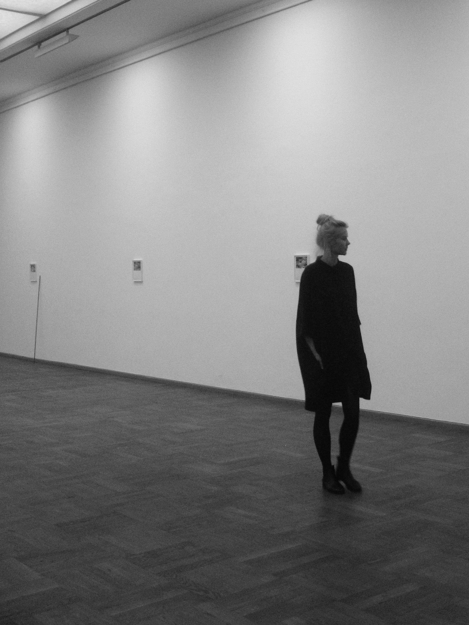 kunst_anna laarits_mv