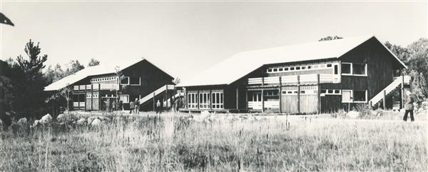 Maalähedane ja konstruktivistlik