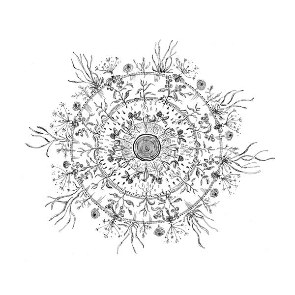 Murekoht looduskaitses