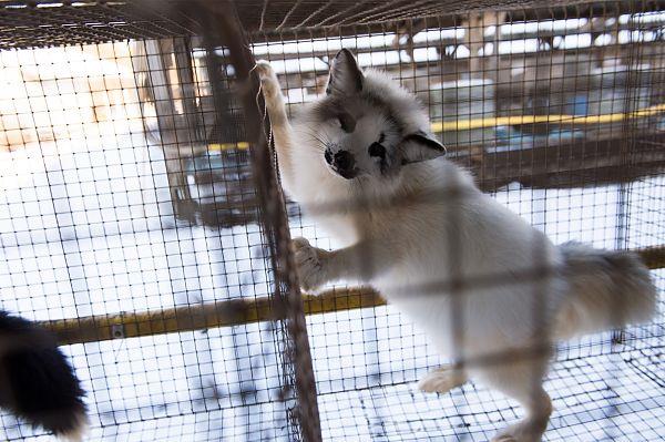 N&auml;htamatu s&uuml;steem