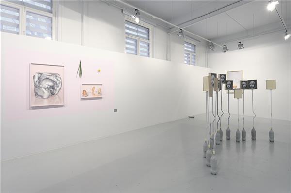 Interikooniline import-eksport