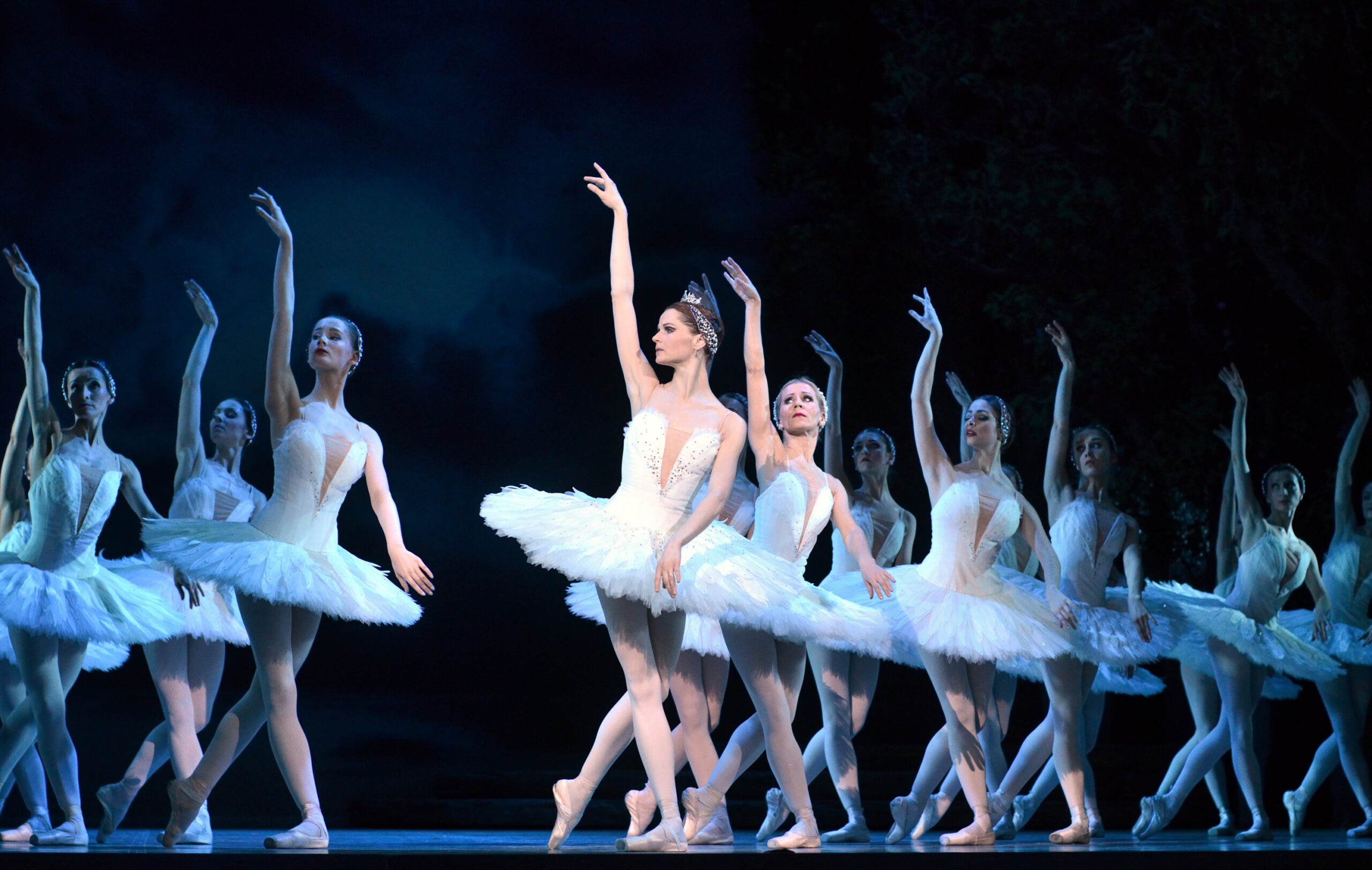 Lavatäis valgeid luiki