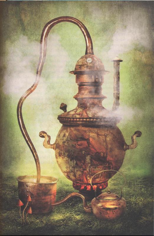 Kirjanik kuldseis kammitsais