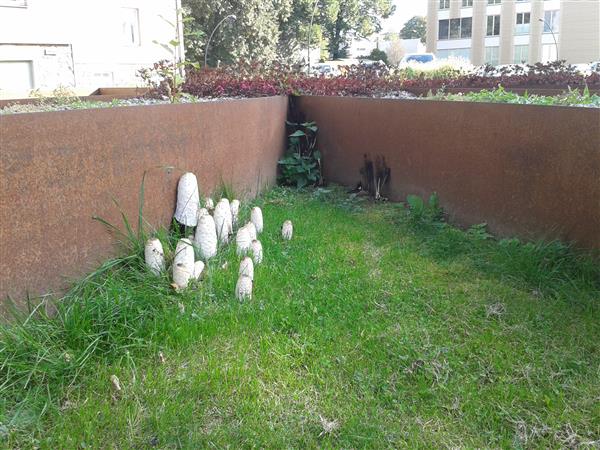 Kuidas t&otilde;lgendada  maastiku katkestusi?