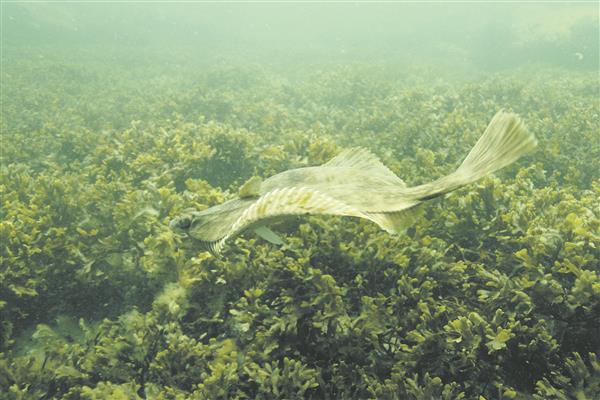 Inimkonna ja mere ajas muutuvad suhted