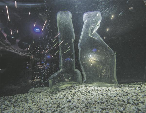 Kai Koppel. Mõtlen teisiti. Vormipuhumine, 2016.