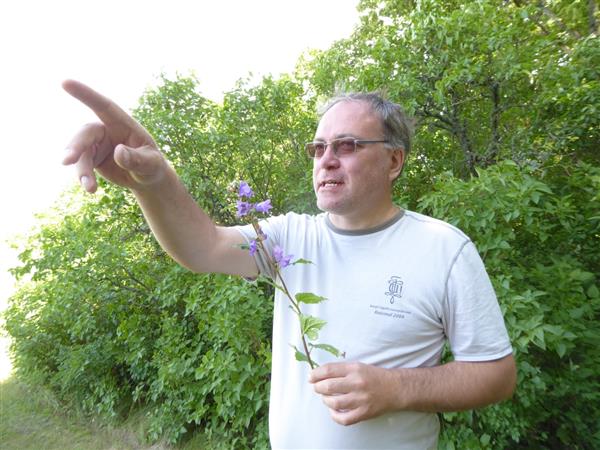 Kaardistades taimeriigi muutumist