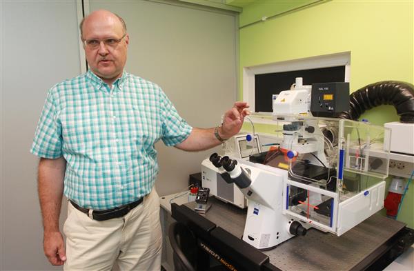 Kookospalmide viirustest HI- ja Zika viiruseni