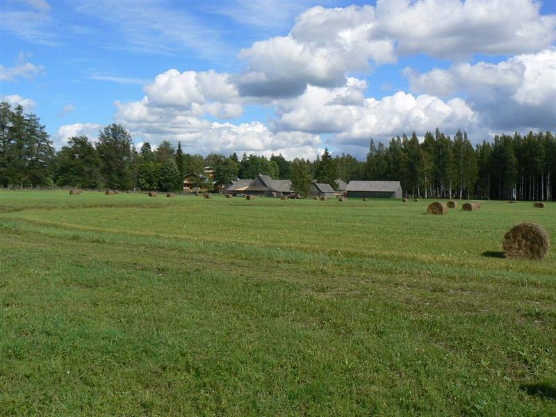 &Auml;rgates s&uuml;ndimise lugu