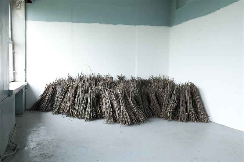 Millal maksad memme vaeva?