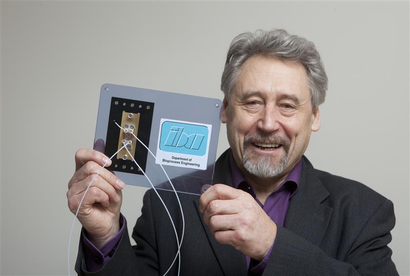 S&uuml;dame s&uuml;dames