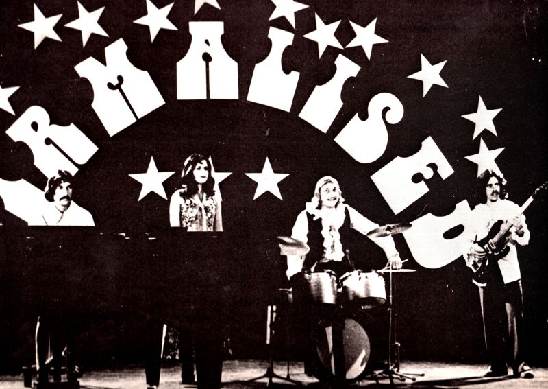 Sisepilk Virmalistele