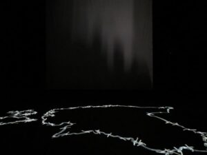 Pärast Skatka (Mikk Madisson ja Rainar Aasrand)  performance’i kangelaste lahkumist projitseerus pimeda kammersaali põrandale Eesti kaart, enese- ja Eesti kriitika sümbioos.   