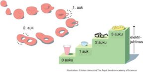 Topoloogias muutuvad omadused mitte pidevalt, vaid diskreetselt, astmeliselt või lausa hüppeliselt, nagu aukude arv pildil toodud objektidel. Topoloogiliselt on sõõrik ja teetass identsed, sest mõlemas on üks auk. Kosterlitz, Thouless ja Haldane ilmutasid erakordset leidlikkust, kuna suutsid näidata, et suurt klassi reaalseid aineid, iseäranis aatomite õhukesi kilesid ja ahelaid, saab mõista topoloogia lihtsate matemaatiliste põhimõtete kaudu, kus elektriniline juhtivus muutub täpselt konstandi e2/h täisarvuliste sammudega. 