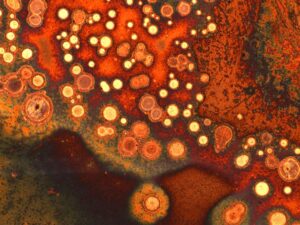 Vismuti-alumiiniumi sulami korrosioon vees. Mikroskoobi pilt mõõtudega 1,6 × 1,2 mm.