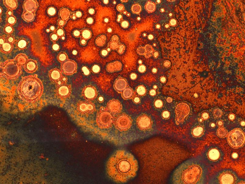 Haridussüsteemi uued astmed