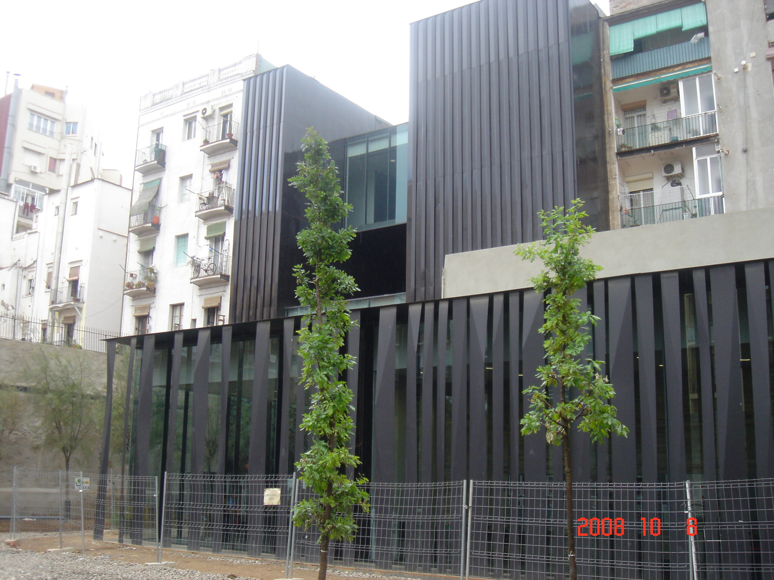 Sinilindu püüdmata