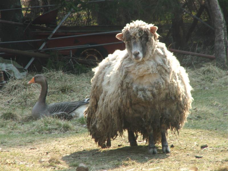 Eetika ja esteetika ristteel