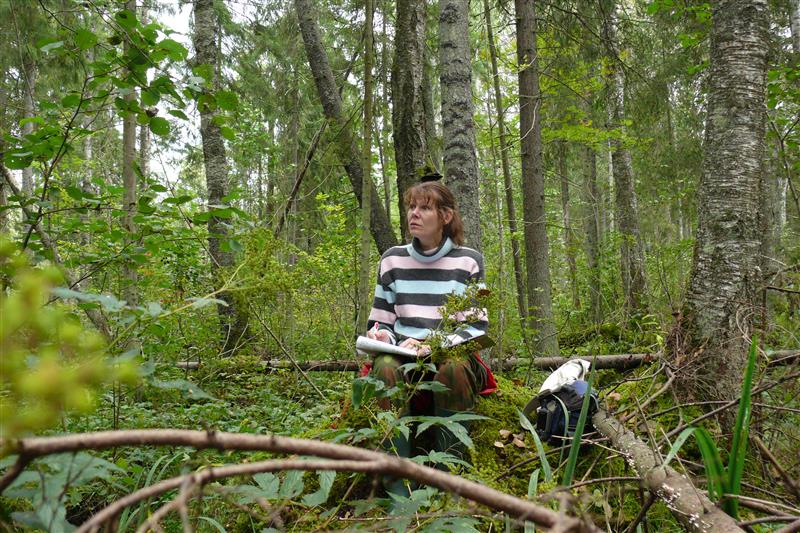 Elurikas mets on väärtus