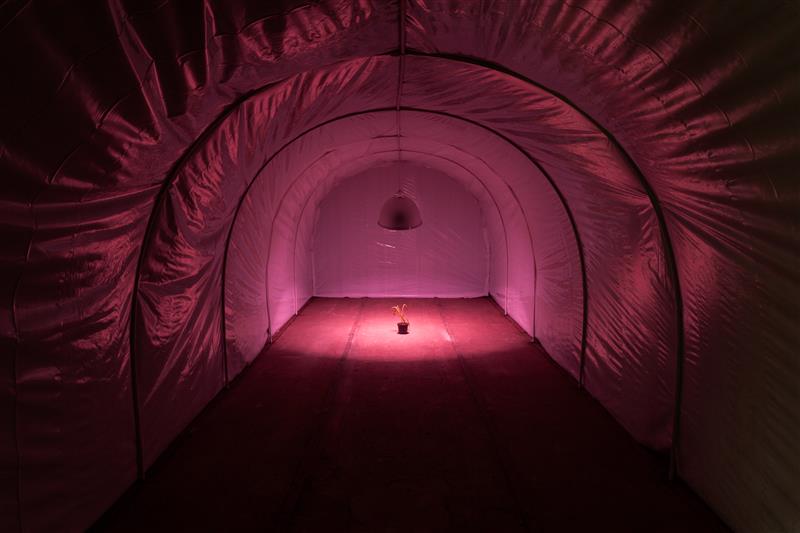 Kuidas saada v&auml;lja omaloodud l&otilde;ksudest?