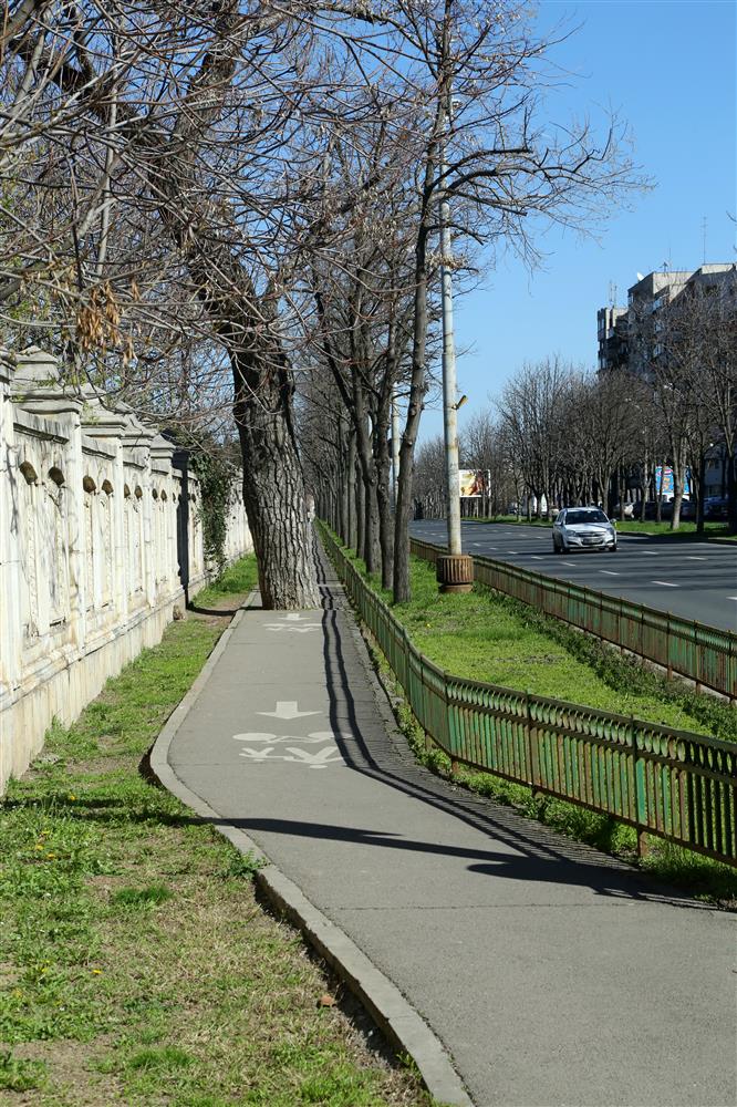 Paavst Franciscuse öko-entsüklika –  religioonil ja teadusel on meile sama sõnum