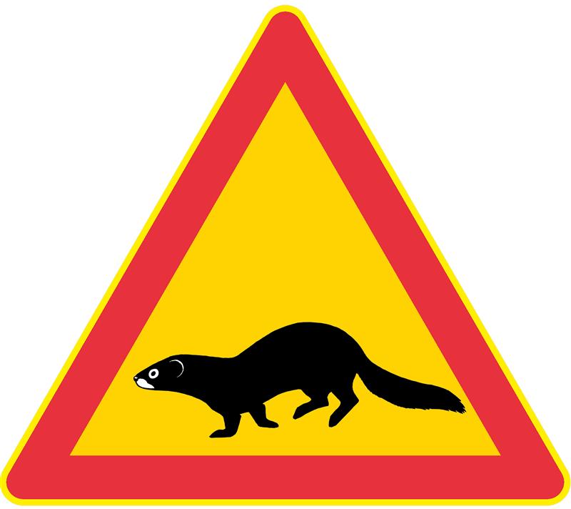 Euroopa naaritsa tagasitulek