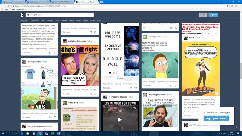 Alt-right norme tapmas