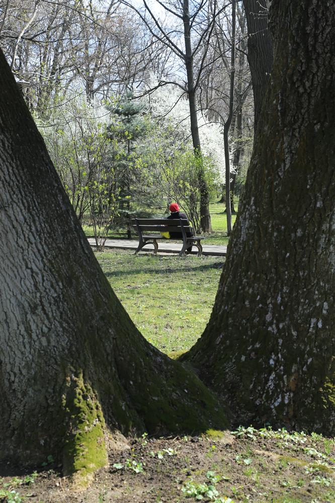 Vanadusele otsa vaadata on hirmutav