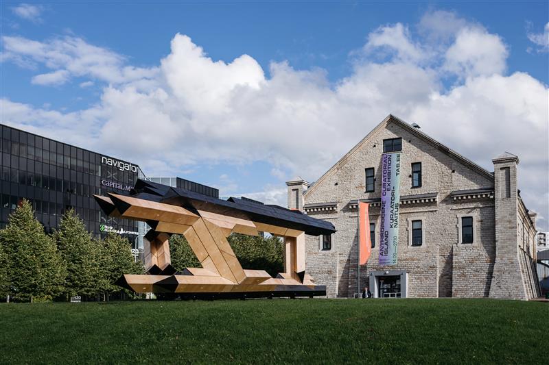 Arhitektuuri ainevahetushäired ja kasvuraskused