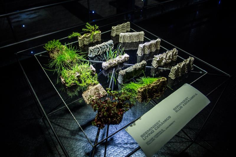 Antropotseeni saar Paljassaar