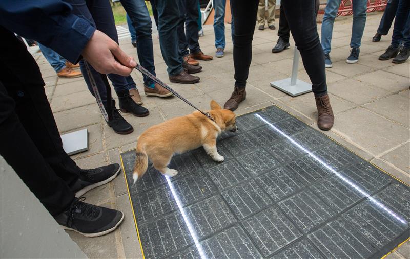 Seal, kus lõpeb asfalt, algab nutitee