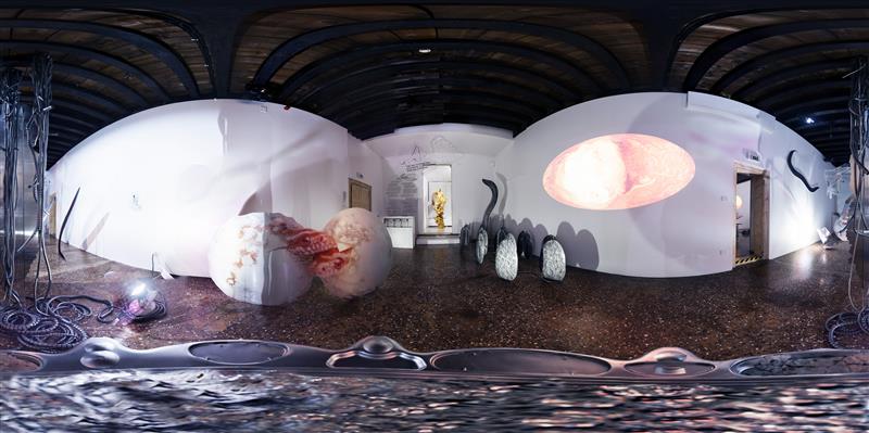 Kui sa vaid näeksid, mida ma su silmadega olen näinud