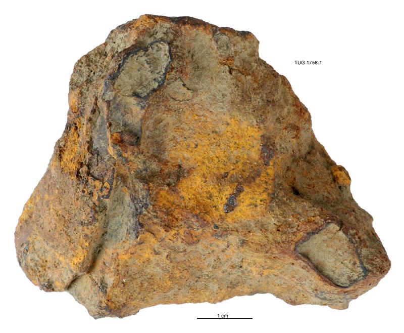 Kaali. Meteoriidid, s&uuml;si ja vanus
