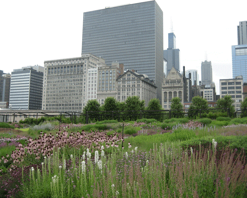 Taass&uuml;nniraamat