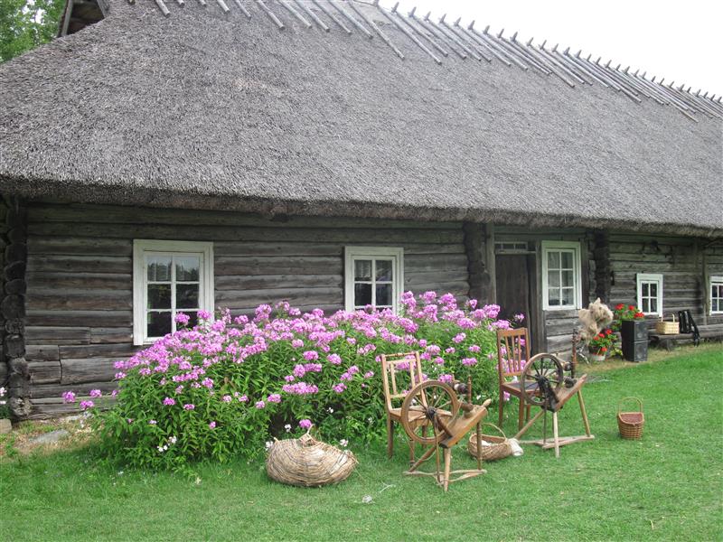 Pildilt maas – Eesti keel kui kultuuripärand ehk Rehilauluga regielamusse